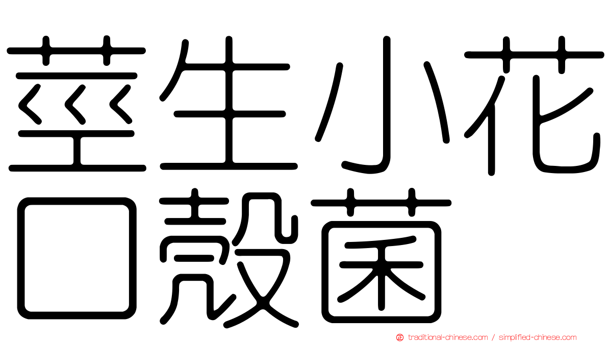 莖生小花口殼菌