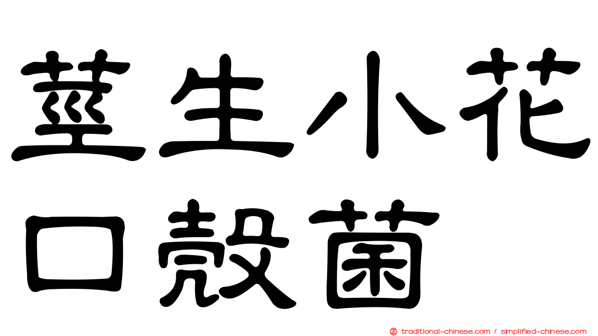 莖生小花口殼菌