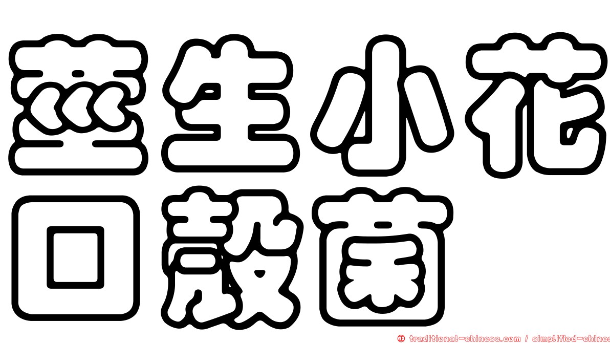 莖生小花口殼菌