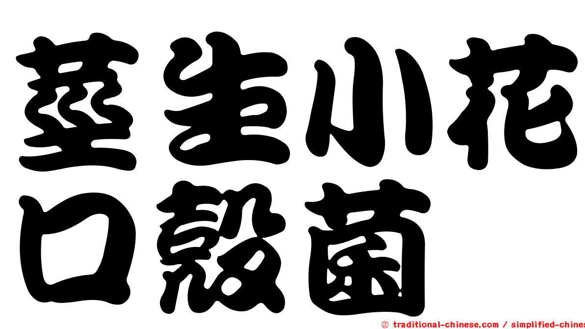 莖生小花口殼菌