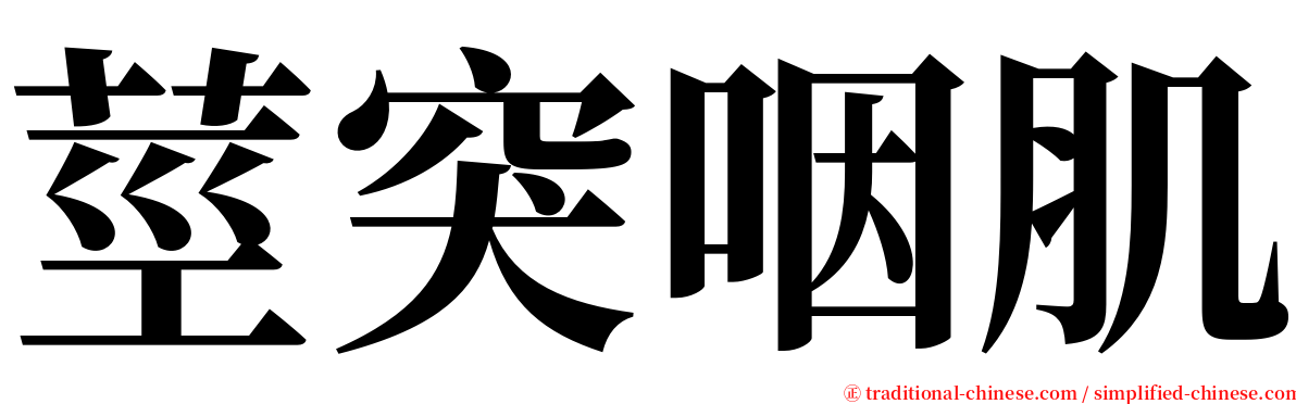 莖突咽肌 serif font