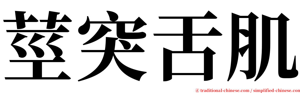 莖突舌肌 serif font