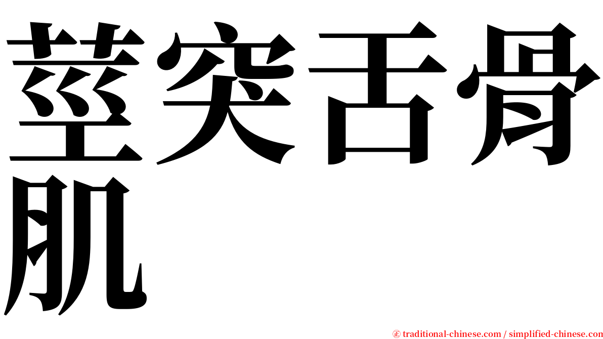 莖突舌骨肌 serif font