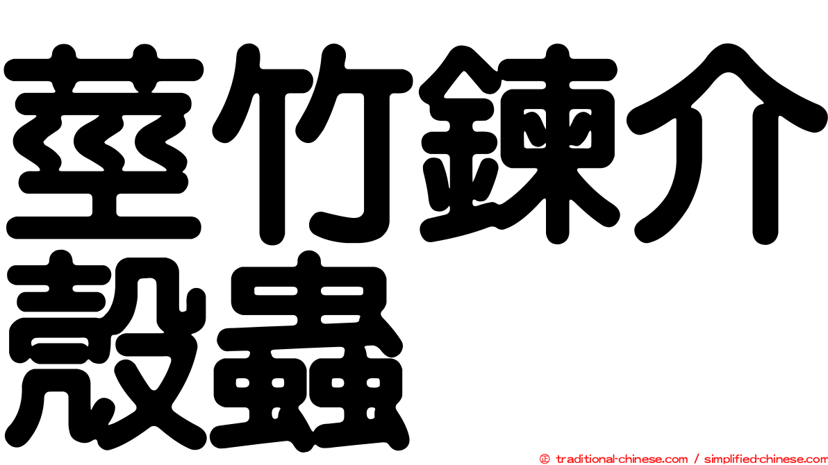 莖竹鍊介殼蟲