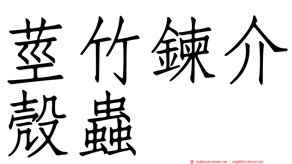 莖竹鍊介殼蟲