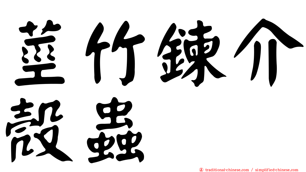 莖竹鍊介殼蟲