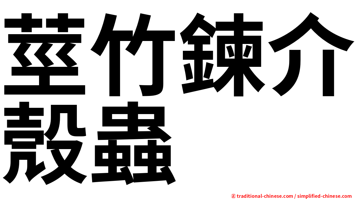 莖竹鍊介殼蟲