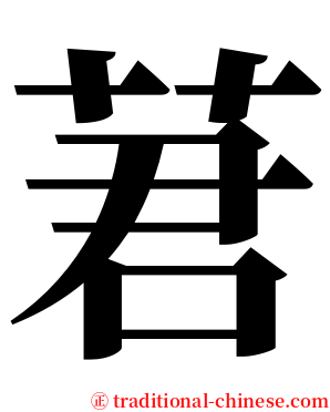 莙 serif font