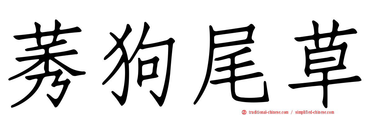 莠狗尾草