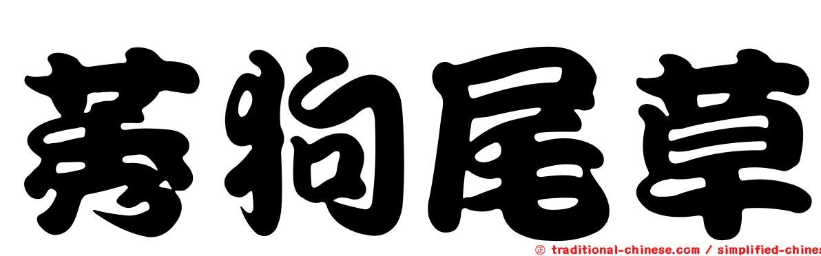 莠狗尾草