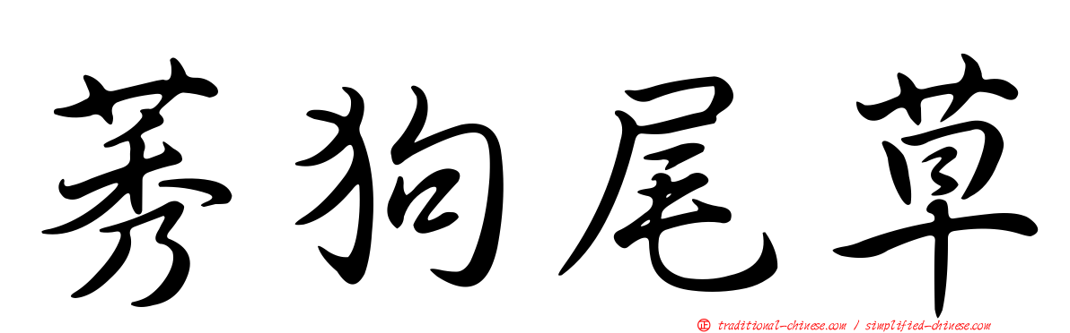 莠狗尾草