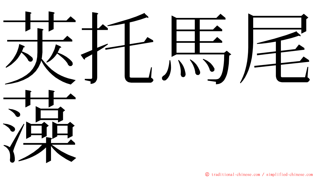 莢托馬尾藻 ming font