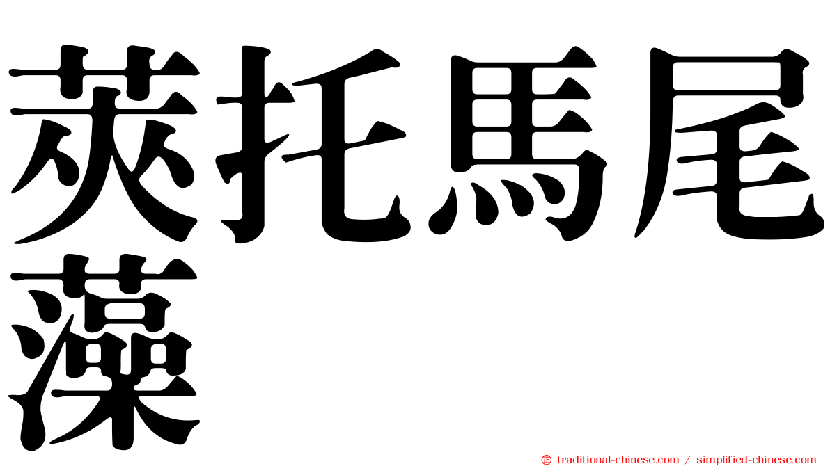 莢托馬尾藻