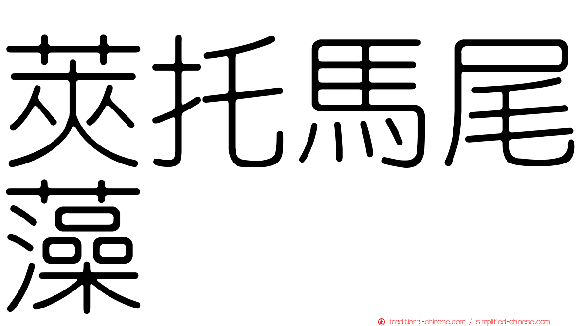 莢托馬尾藻