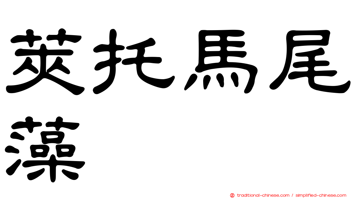 莢托馬尾藻