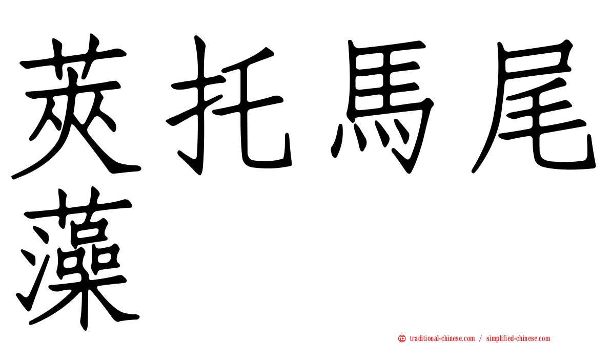 莢托馬尾藻