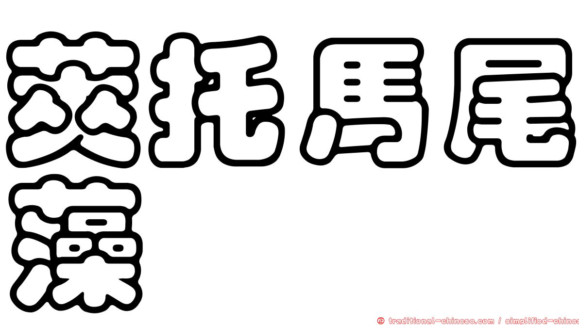 莢托馬尾藻