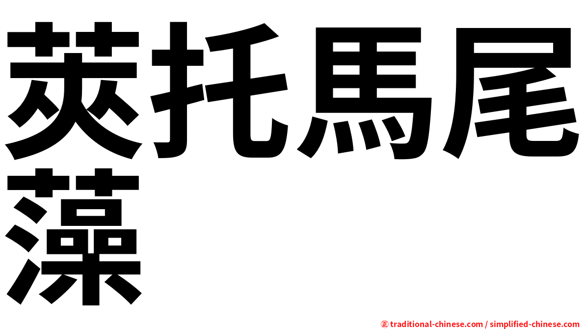 莢托馬尾藻