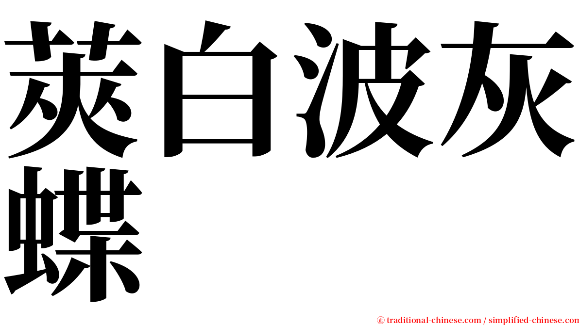 莢白波灰蝶 serif font