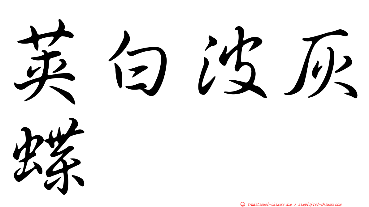 莢白波灰蝶