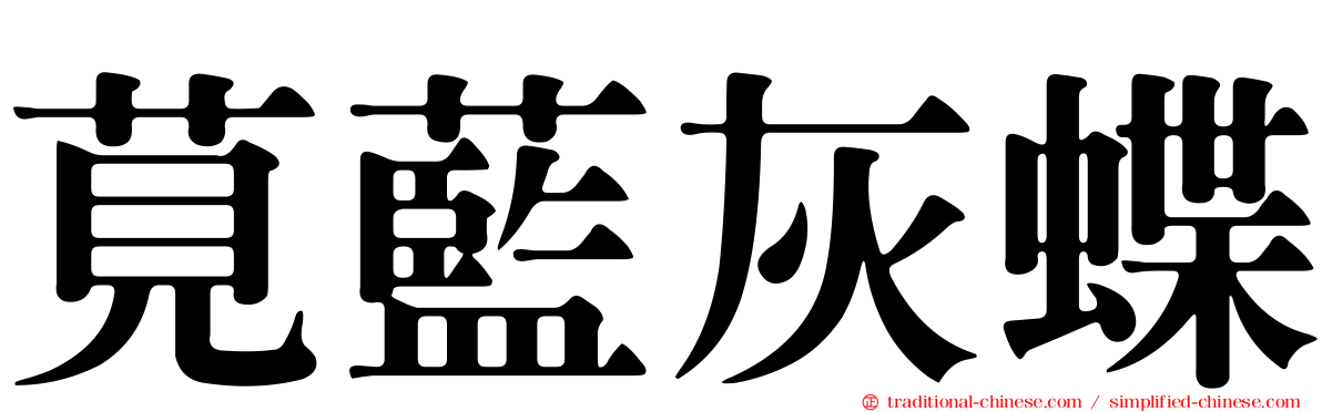 莧藍灰蝶
