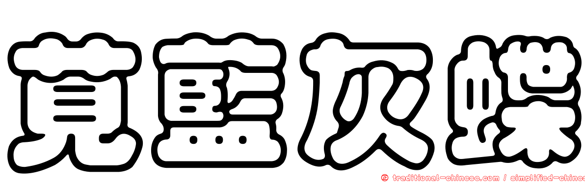 莧藍灰蝶