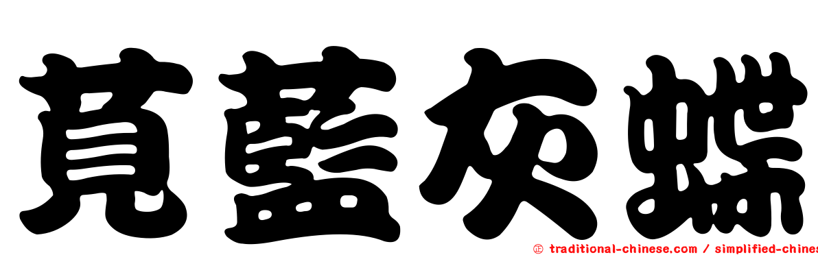 莧藍灰蝶