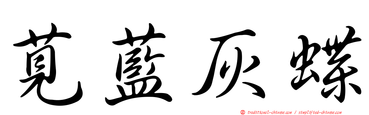 莧藍灰蝶