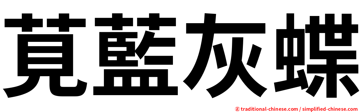 莧藍灰蝶