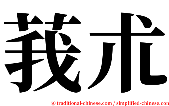 莪朮 serif font