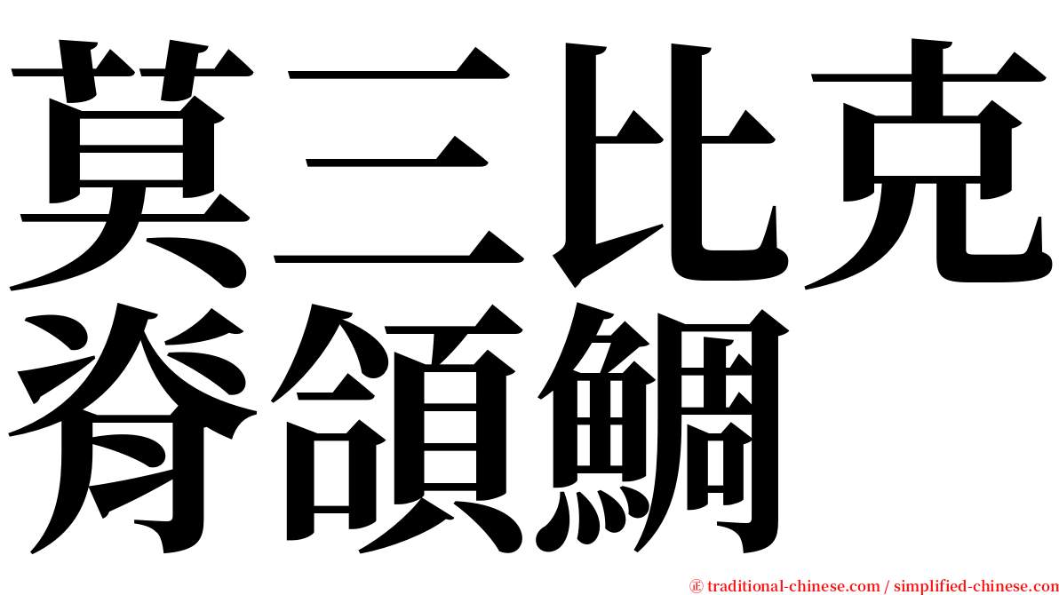 莫三比克脊頜鯛 serif font