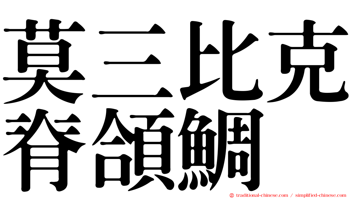 莫三比克脊頜鯛