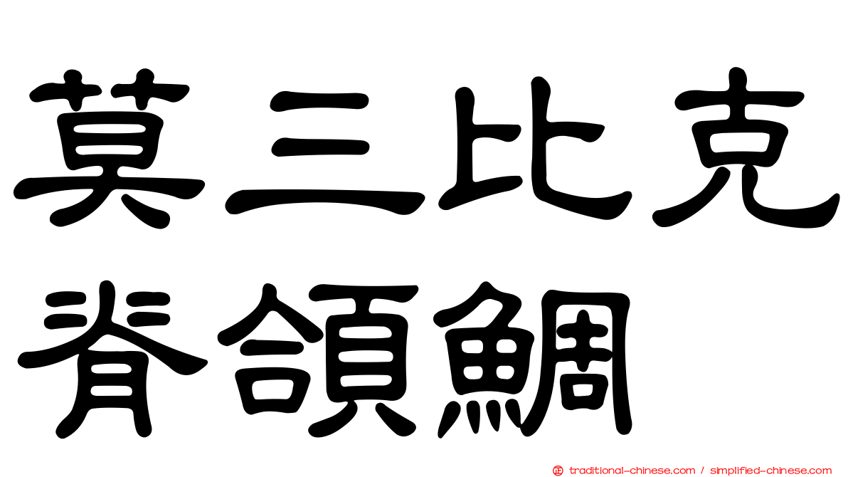 莫三比克脊頜鯛