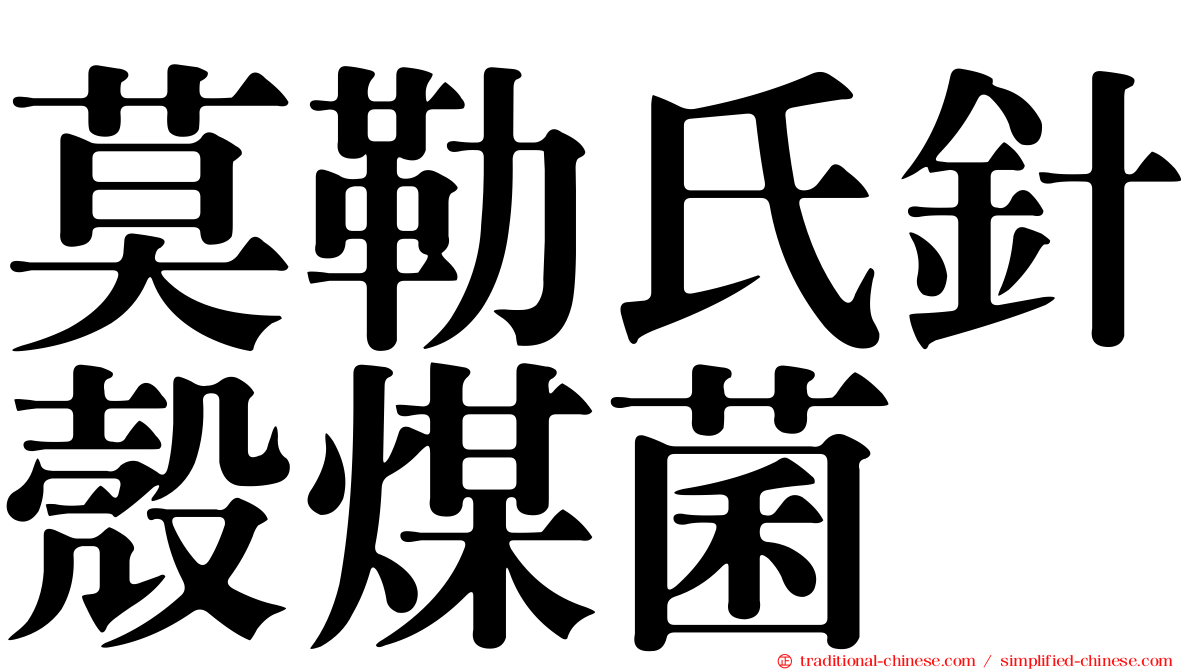 莫勒氏針殼煤菌
