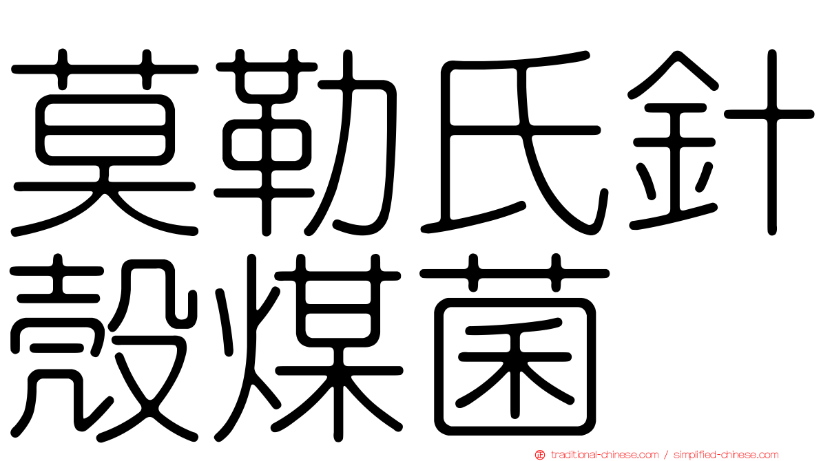 莫勒氏針殼煤菌