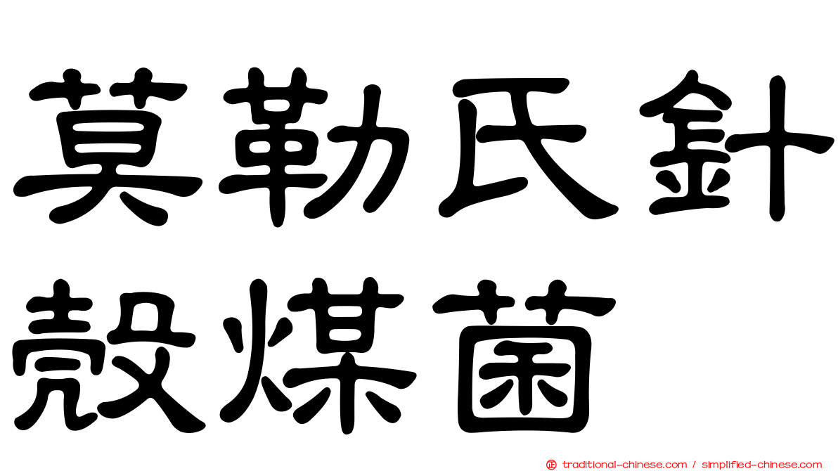 莫勒氏針殼煤菌