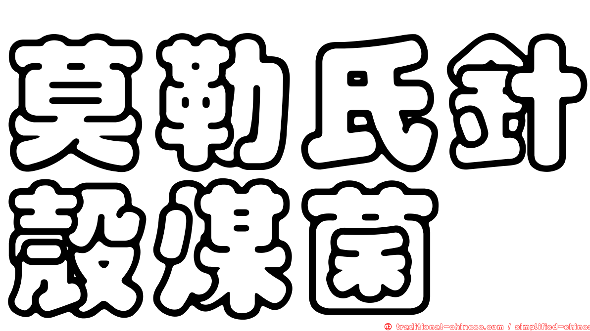 莫勒氏針殼煤菌