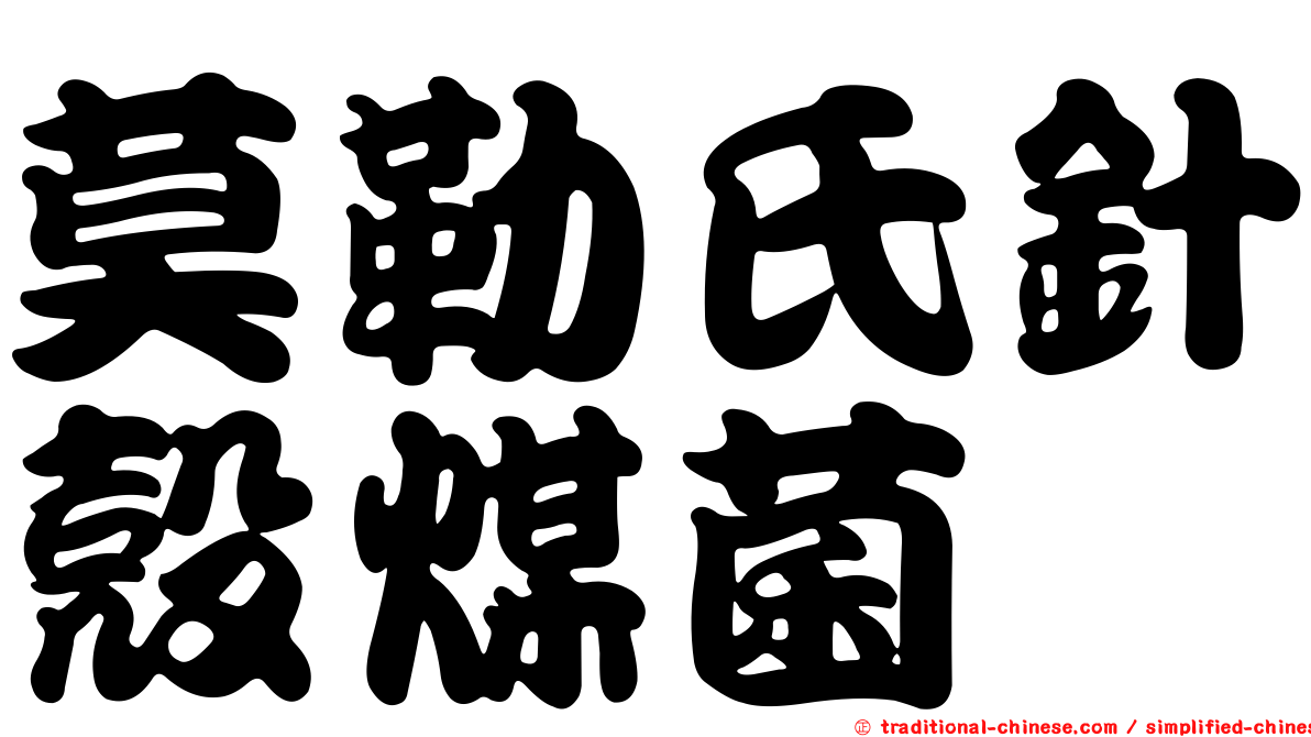 莫勒氏針殼煤菌