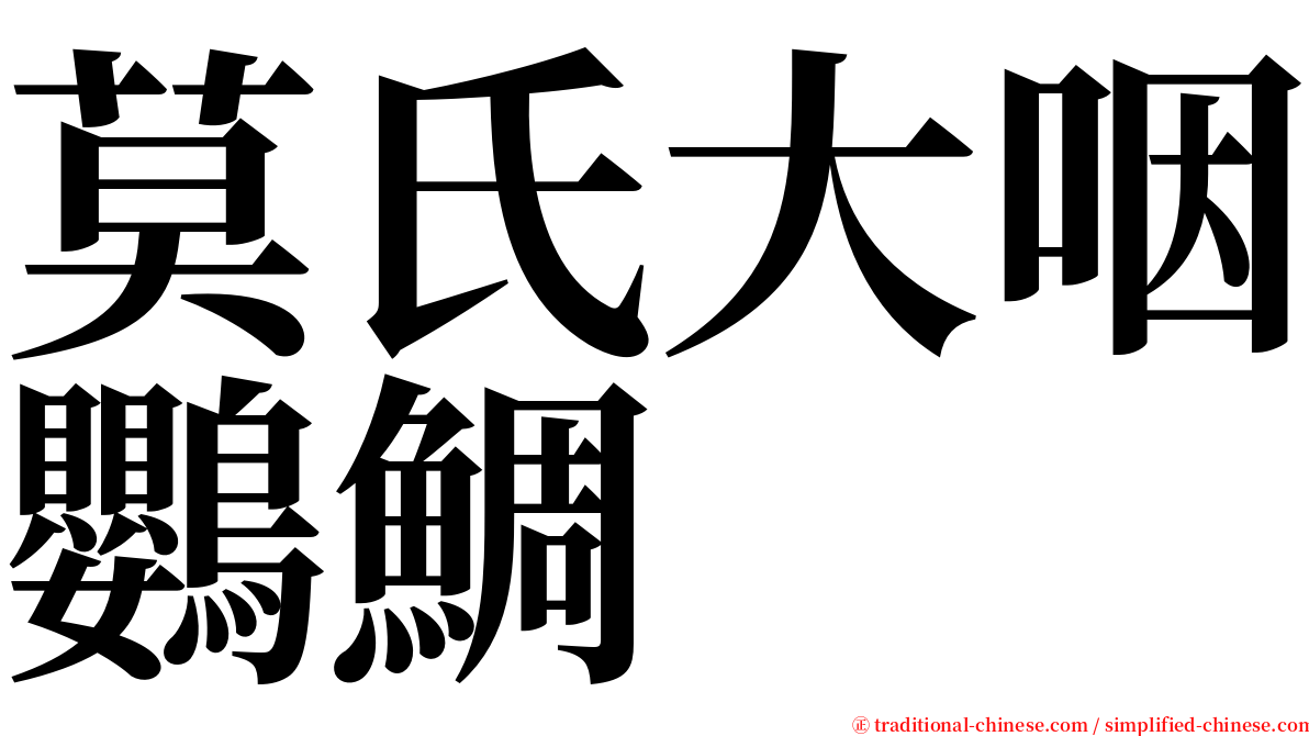 莫氏大咽鸚鯛 serif font