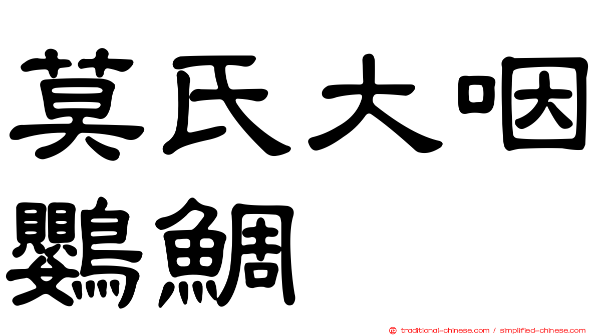 莫氏大咽鸚鯛