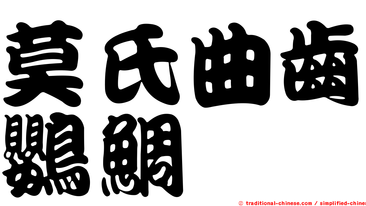 莫氏曲齒鸚鯛