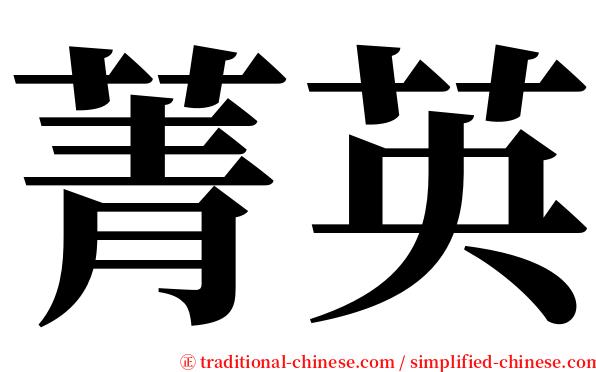 菁英 serif font