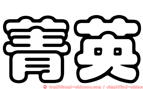 菁英