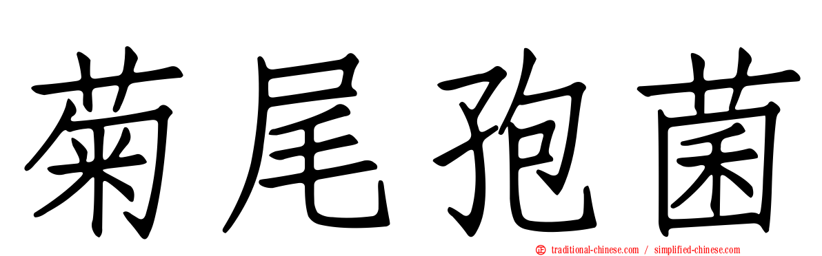 菊尾孢菌