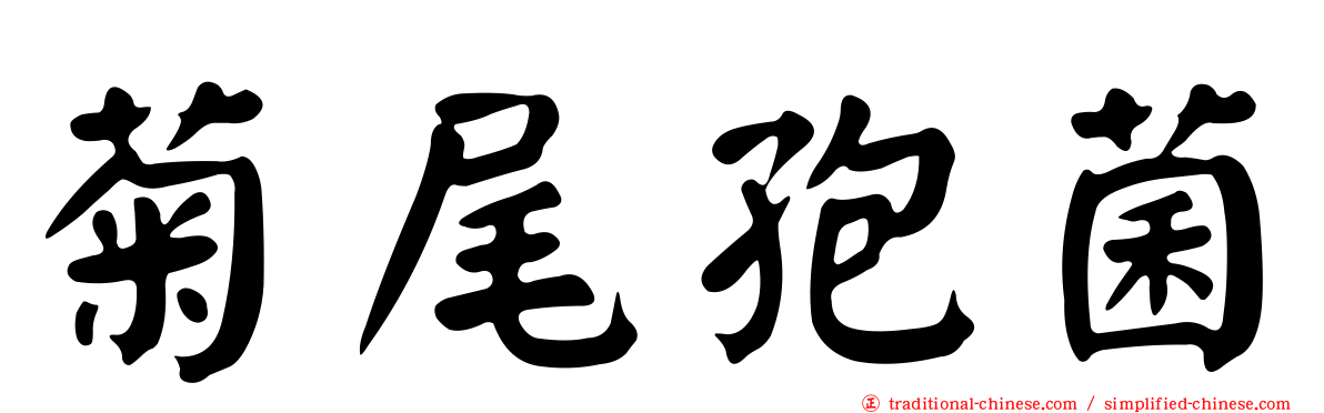 菊尾孢菌