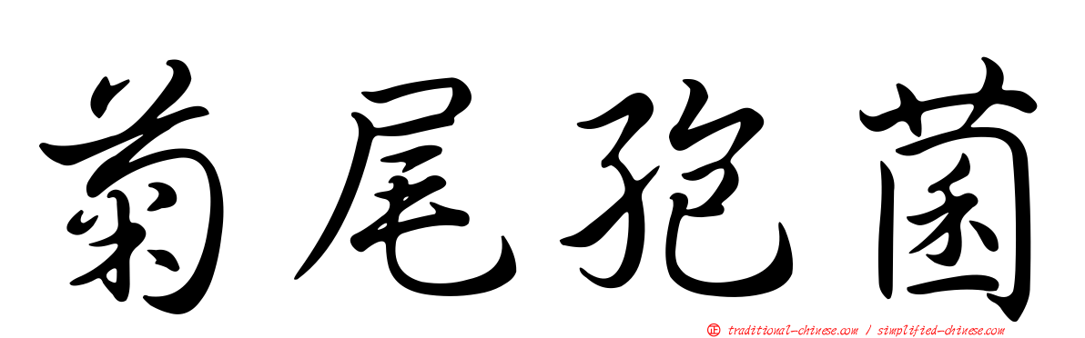 菊尾孢菌