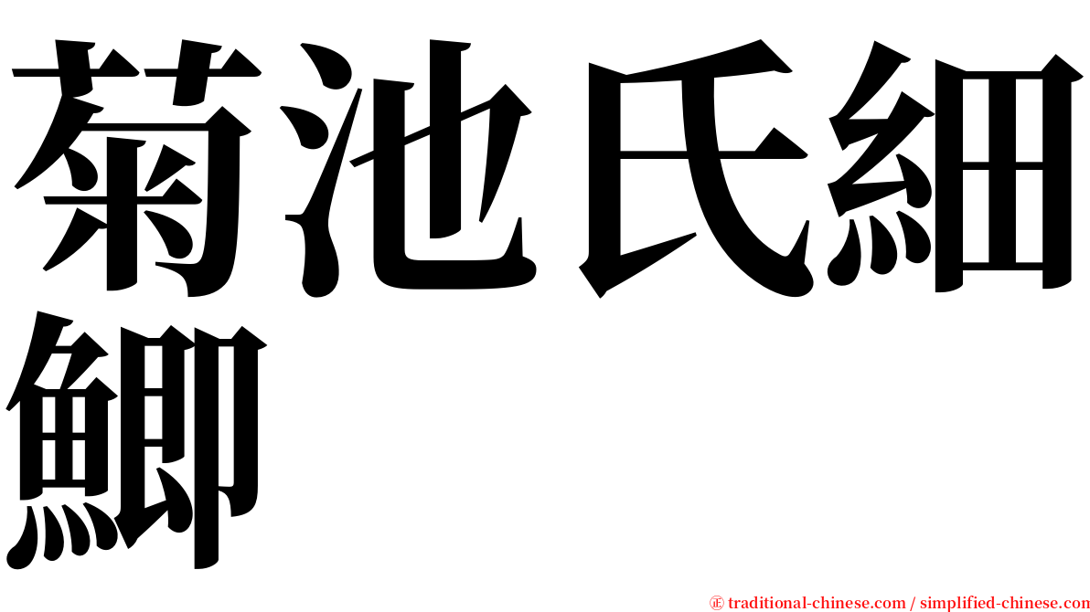 菊池氏細鯽 serif font