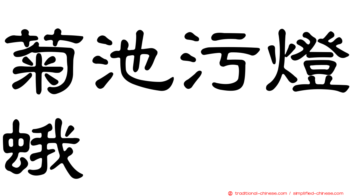 菊池污燈蛾