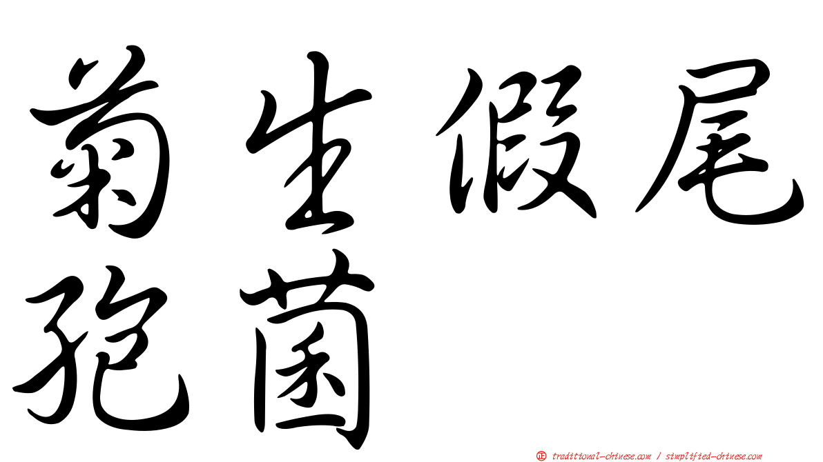 菊生假尾孢菌