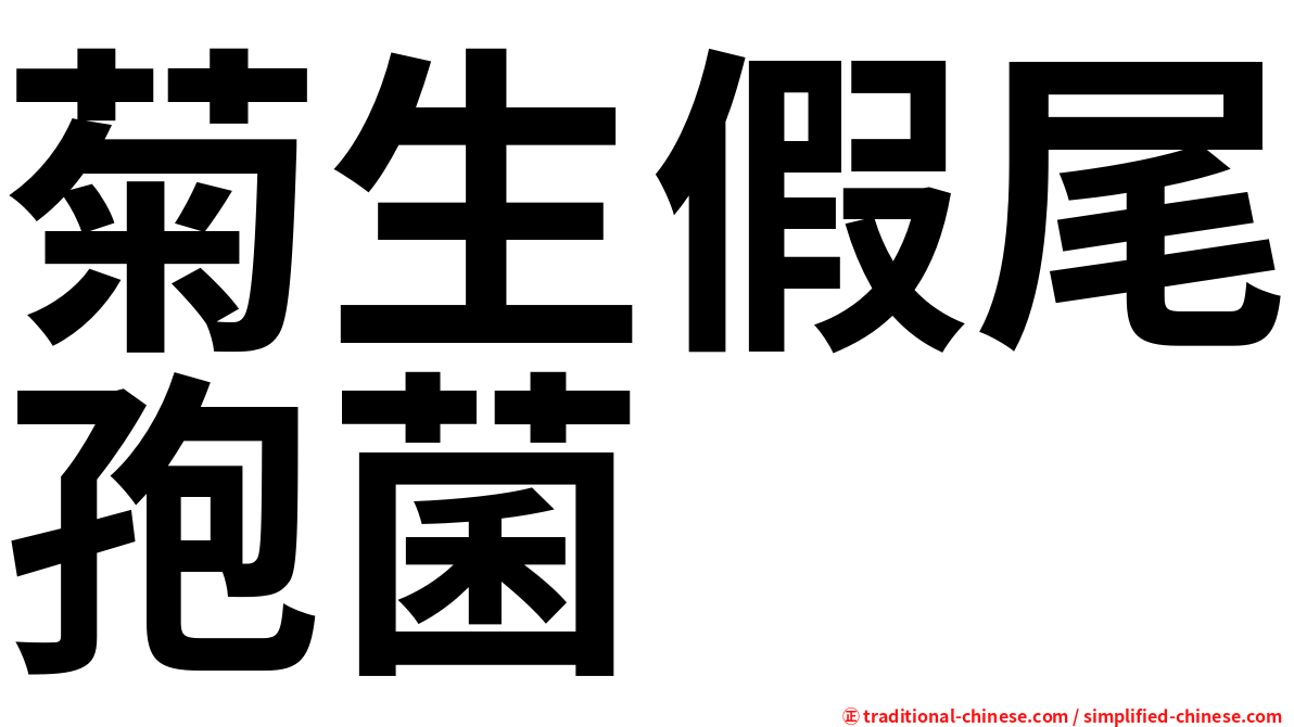菊生假尾孢菌